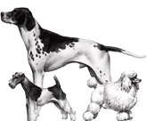 Veterinární ordinace Blažek - Velké Pavlovice